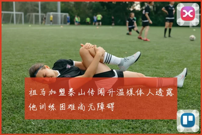 祖马加盟泰山传闻升温媒体人透露他训练困难尚无障碍
