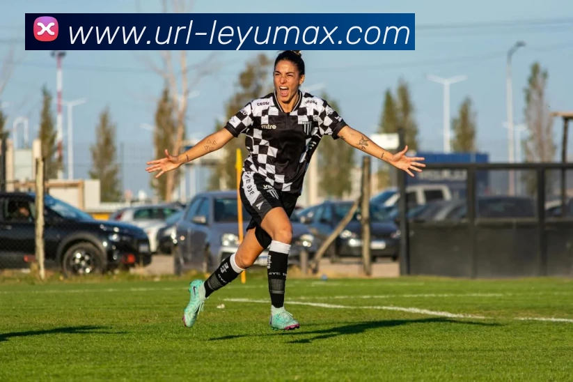 App Interface Preview