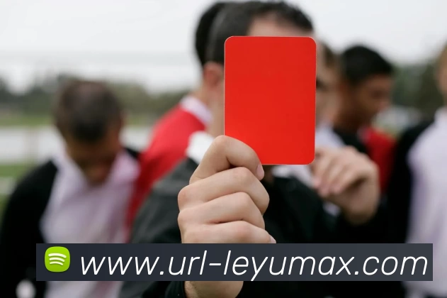 乐鱼体育APP 封面图